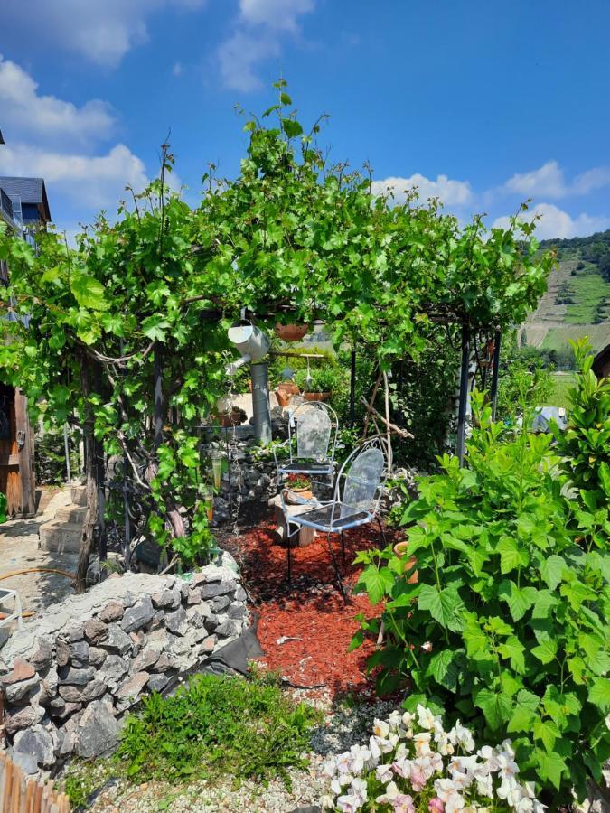 Gaestehaus Moselblick Bed & Breakfast Trittenheim